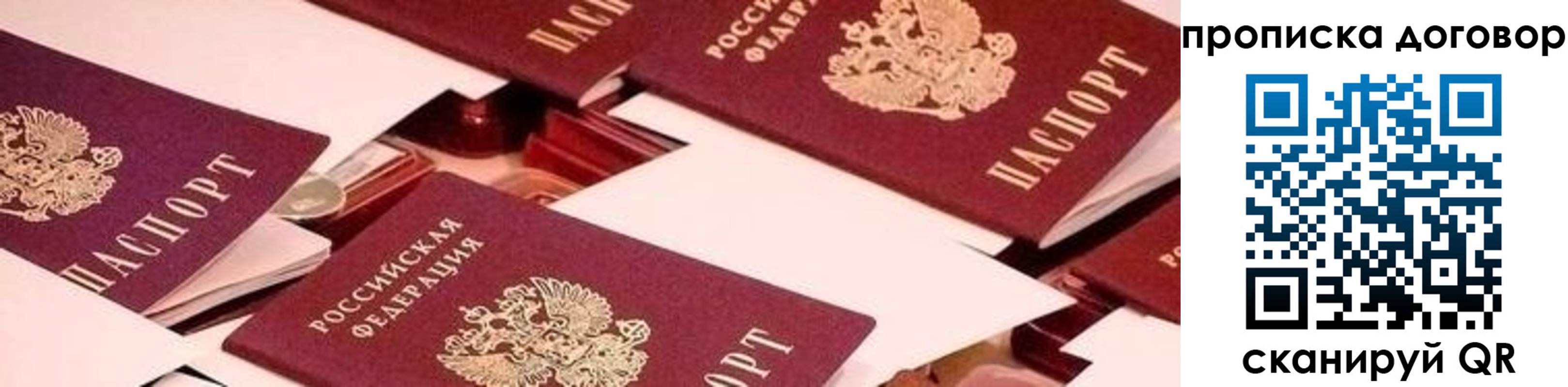 прописка 2025 в Сланцах